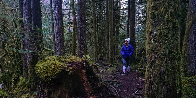 Bagaimana Fungsi Sel Pembunuh Alami Atau Sel NK Diperkuat Dengan Forest Bathing?